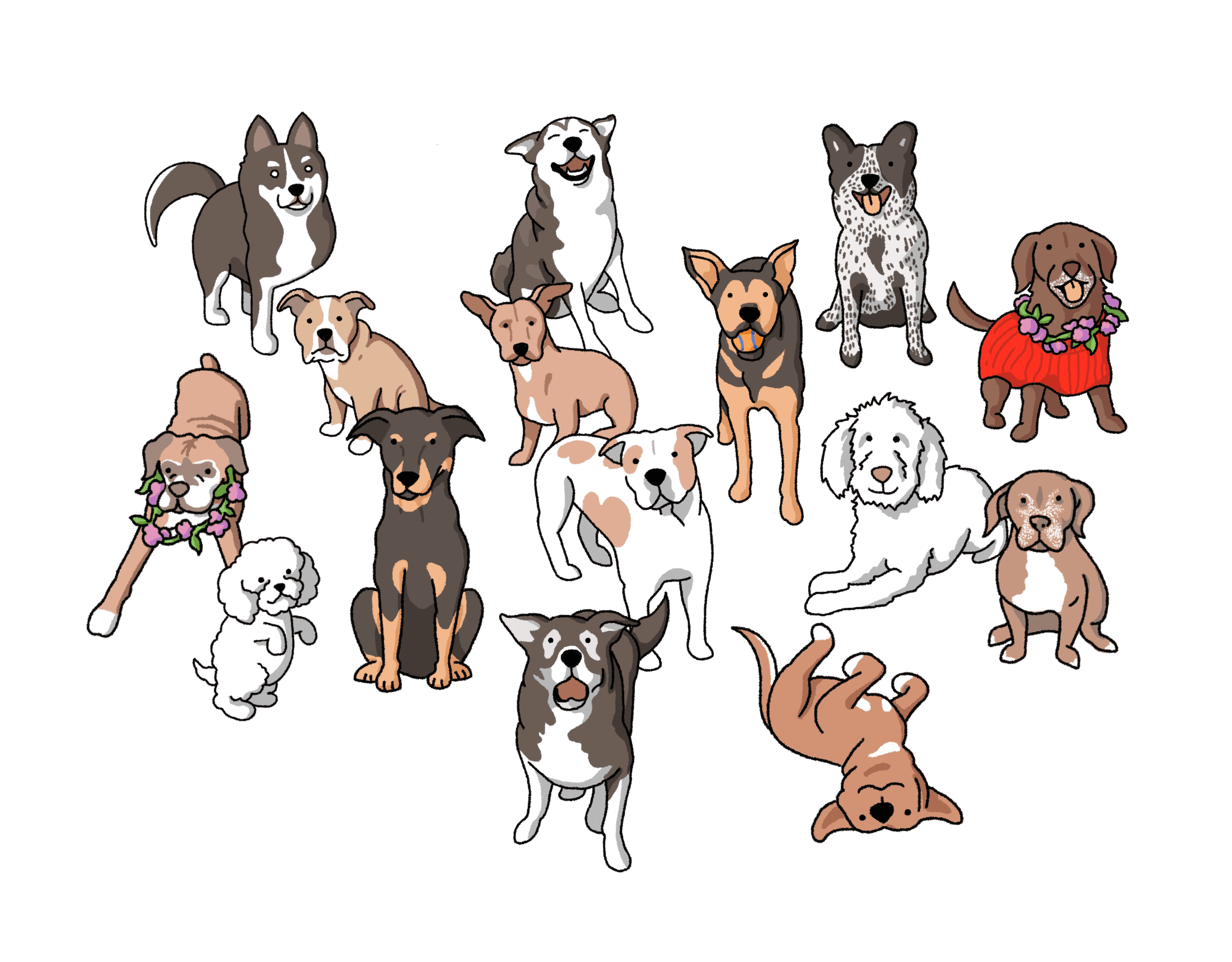 The Dog Yard - dogs playing together